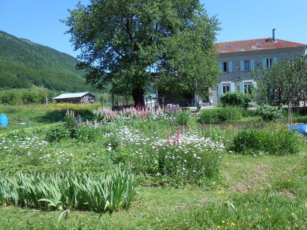 Gites Des Gabriels La Chapelle-en-Vercors Εξωτερικό φωτογραφία